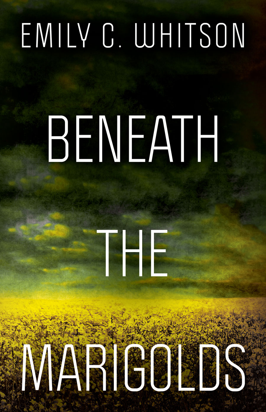 Image-front-cover-high-quality_OPT